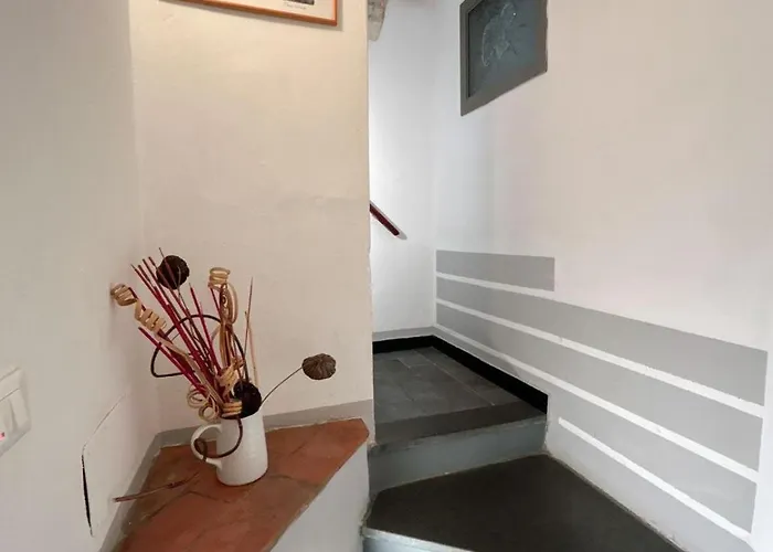 Casa de hóspedes Jolly Roger 4*